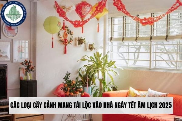 Các loại cây cảnh mang tài lộc vào nhà ngày Tết Âm lịch 2025