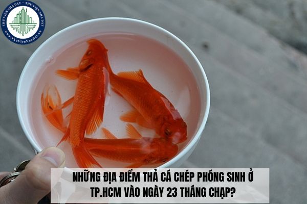 Những địa điểm thả cá chép phóng sinh ở TP.HCM vào ngày 23 tháng Chạp?