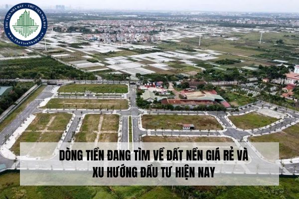 Dòng tiền đang tìm về đất nền giá rẻ và xu hướng đầu tư hiện nay