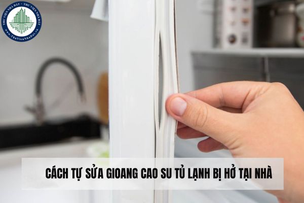 Cách tự sửa gioang cao su tủ lạnh bị hở tại nhà