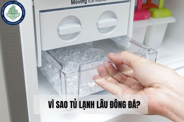 Vì sao tủ lạnh lâu đông đá? Cách khắc phục phục tủ lạnh lâu đông đá nhanh chóng tại nhà?