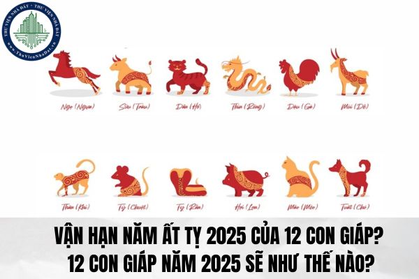 Vận hạn năm Ất Tỵ 2025 của 12 con giáp? 12 con giáp năm 2025 sẽ như thế nào?