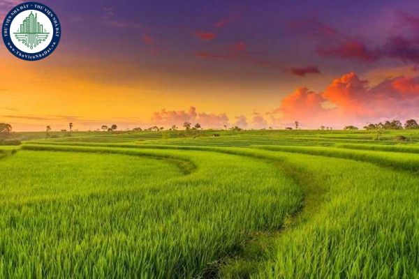 Đất HNK là gì? Đất HNK không sử dụng trong vòng 12 tháng liên tục có bị thu hôi đất không?