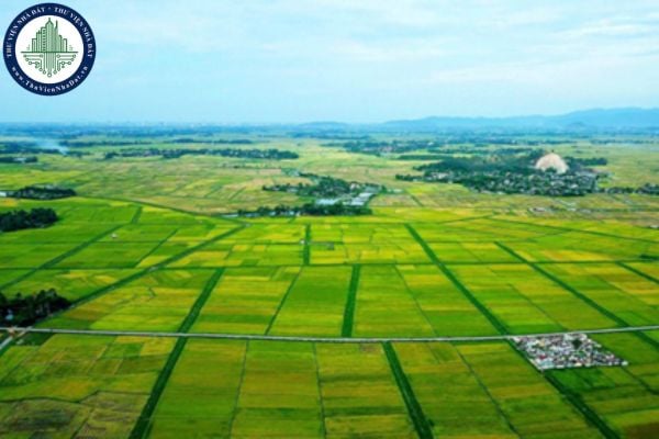 Nghị quyết 198: Hoàn thiện pháp luật về đất đai chậm nhất đến ngày 31/12/2026