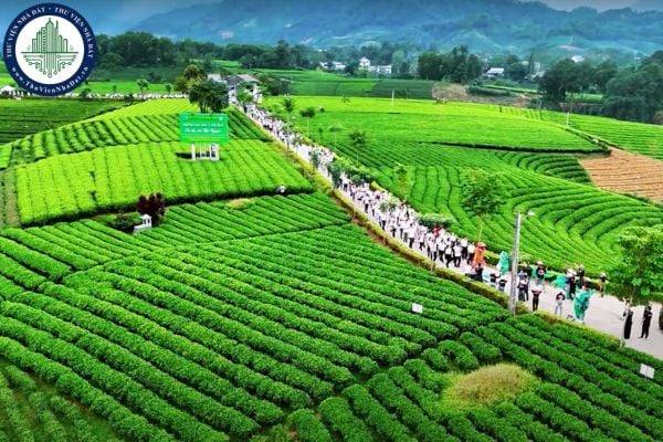Quyết định 15/2025/QĐ-UBND sửa đổi bảng giá đất tỉnh Thái Nguyên từ 16/6/2025