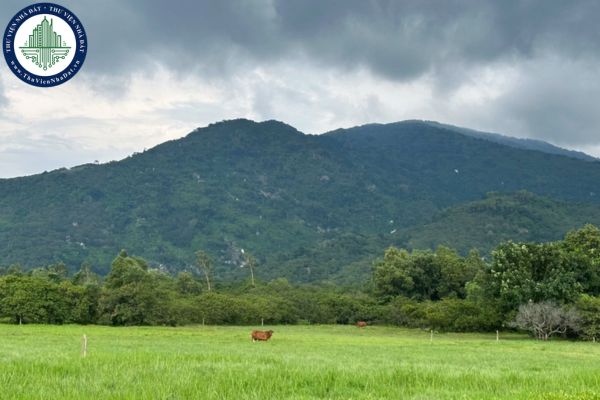 Chi phí tổ chức đấu giá đất Dự án du lịch sinh thái Núi Chứa Chan tỉnh Đồng Nai