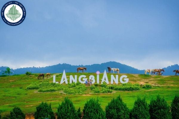 https://cdn.thuviennhadat.vn/upload/hinh-anh-bai-viet/DTDL/thang-10-2025/22/tai-file-du-thao-bang-gia-dat-2026-phuong-lang-biang-da-lat-tinh-lam-dong.jpg