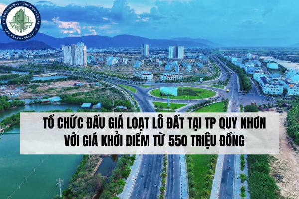 Tổ chức đấu giá loạt lô đất tại TP Quy Nhơn với giá khởi điểm từ 550 triệu đồng