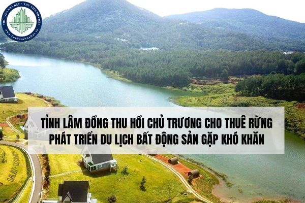 Tỉnh Lâm Đồng thu hồi chủ trương cho thuê rừng phát triển du lịch bất động sản gặp khó khăn