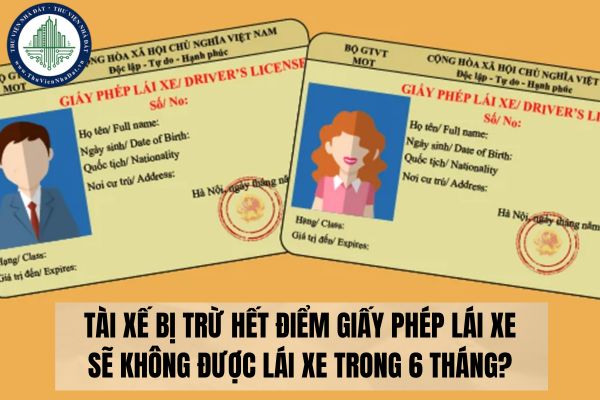 Tài xế bị trừ hết điểm giấy phép lái xe sẽ không được lái xe trong 6 tháng?