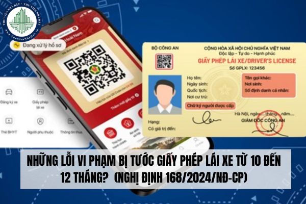 Những lỗi vi phạm bị tước giấy phép lái xe từ 10 đến 12 tháng?  (Nghị định 168/2024/NĐ-CP)