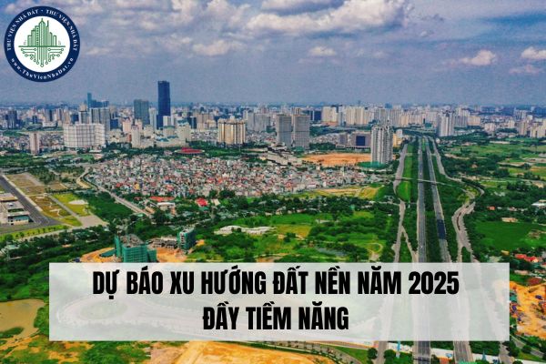 Dự báo xu hướng đất nền năm 2025 đầy tiềm năng