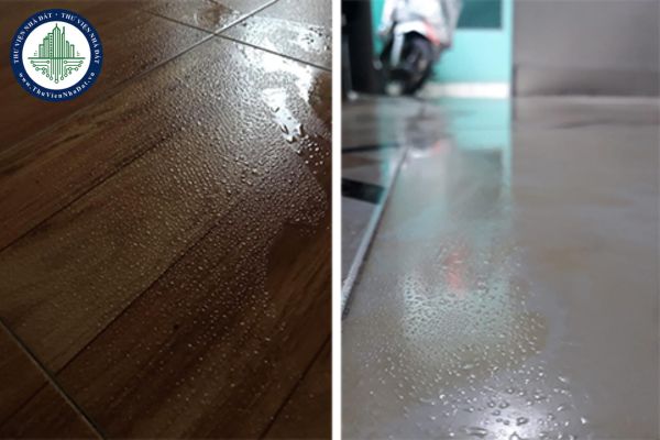 Các biện pháp chống nồm ẩm nền nhà hiệu quả bất ngờ