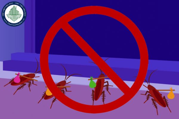 Cách diệt gián trong phòng trọ hiệu quả, an toàn, dễ thực hiện