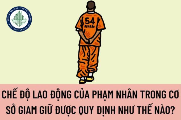 Chế độ lao động của phạm nhân trong cơ sở giam giữ được quy định như thế nào? Tổ chức lao động cho phạm nhân như thế nào?