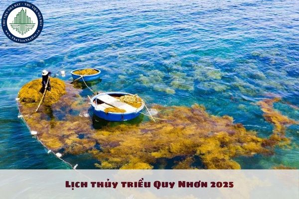 Lịch thủy triều Quy Nhơn 2025? Lịch thủy triều Quy Nhơn năm 2025 tra cứu ở đâu?