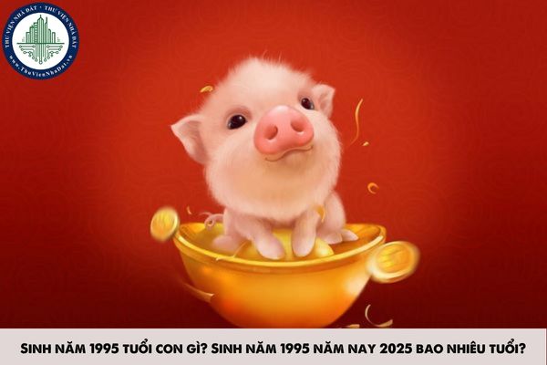 Sinh năm 1995 tuổi con gì? Sinh năm 1995 năm nay 2025 bao nhiêu tuổi?