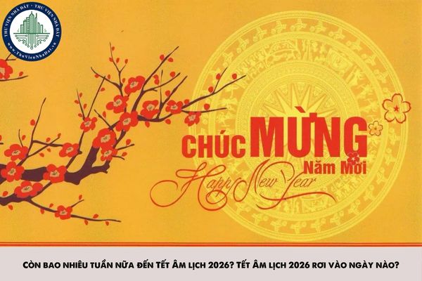 Còn bao nhiêu tuần nữa đến Tết Âm lịch 2026? Tết Âm lịch 2026 rơi vào ngày nào?