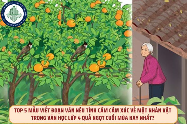 Top 5 mẫu viết đoạn văn nêu tình cảm cảm xúc về một nhân vật trong văn học lớp 4 Quả ngọt cuối mùa hay nhất?