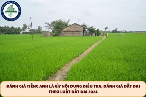 Đánh giá tiếng anh là gì? Nội dung điều tra, đánh giá đất đai theo Luật Đất đai 2024