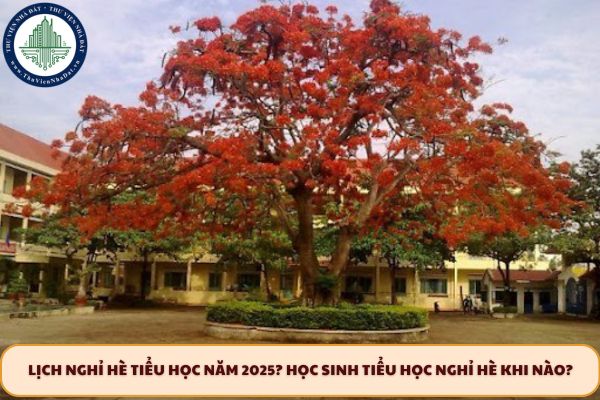 Lịch nghỉ hè tiểu học năm 2025? Học sinh tiểu học nghỉ hè khi nào?