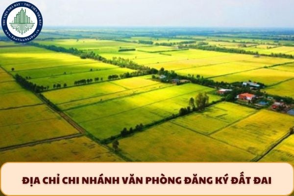 Cập nhật địa chỉ Chi nhánh Văn phòng đăng ký đất đai khu vực Quãng Điền TP Huế sau sáp nhập