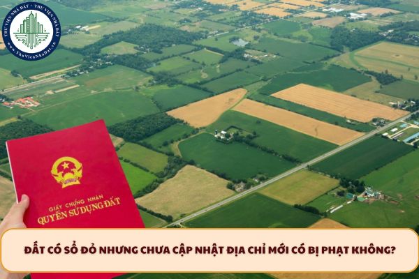 Đất có sổ đỏ nhưng chưa cập nhật địa chỉ mới có bị phạt không?