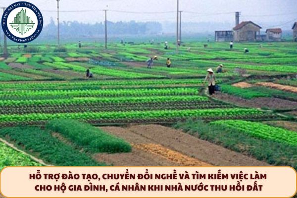 Hướng dẫn hỗ trợ đào tạo, chuyển đổi nghề và tìm kiếm việc làm cho hộ gia đình, cá nhân khi Nhà nước thu hồi đất từ 15/8/2025