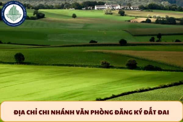 Địa chỉ Chi nhánh Văn Phòng đăng ký đất đai khu vực Phong Điền TP Huế ở đâu?