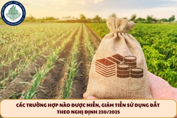 Các trường hợp nào được miễn, giảm tiền sử dụng đất theo Nghị định 230/2025