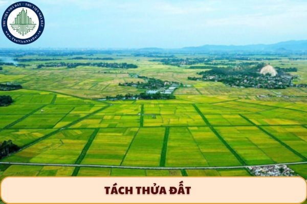 thuviennhadat.vn