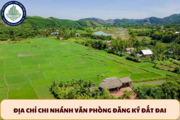Địa chỉ Chi nhánh Văn phòng đăng ký đất đai khu vực Nam Đông TP Huế sau sáp nhập