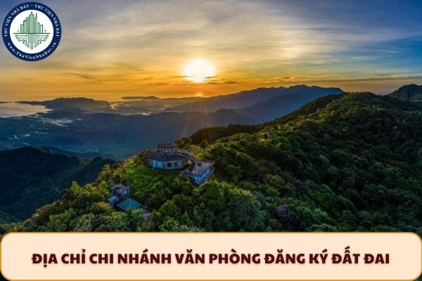 Điạ chỉ Chi nhánh Văn phòng đăng ký đất đai khu vực Phú Lộc TP Huế ở đâu?