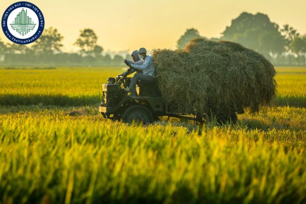 Người lao động trong hộ bị thu hồi đất nông nghiệp có được ưu tiên tham gia chính sách việc làm công?