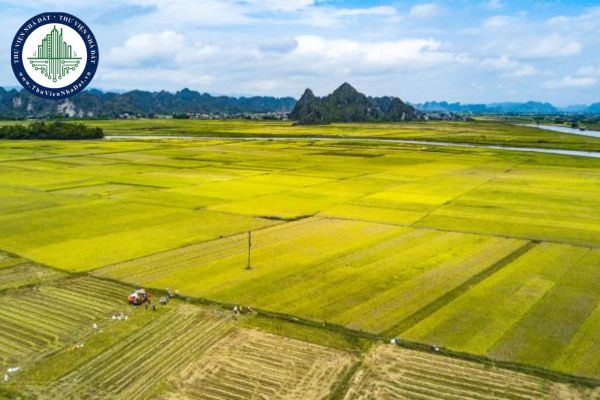 Trưởng thôn có phải là người chịu trách nhiệm trước Nhà nước đối với việc sử dụng đất hay không?