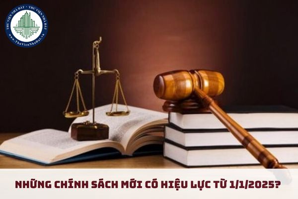 Một số chính sách mới nổi bật có hiệu lực từ 1/1/2025? Tổng hợp 10 Luật có hiệu lực từ 1/1/2025? (hình từ internet)