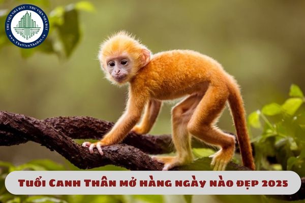 Tuổi Canh Thân mở hàng ngày nào đẹp 2025? Xem ngày mở hàng khai trương tốt năm 2025? 