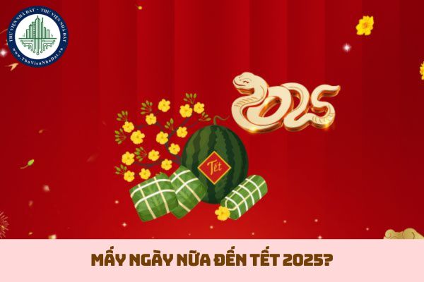 Mấy ngày nữa đến Tết 2025? Còn bao nhiêu ngày nữa tới Tết Nguyên Đán 2025? (hình từ internet)