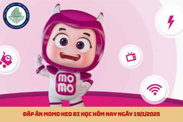 Đáp án MoMo Heo đi học hôm nay ngày 19/1/2025 (hình từ internet)