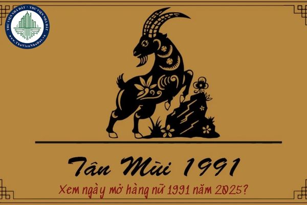 Xem ngày mở hàng nữ 1991 năm 2025? Tuổi mở hàng cho nữ sinh năm 1991? (hình từ internet)