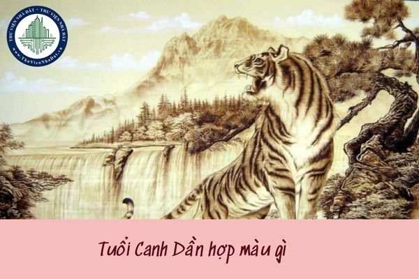 Tuổi Canh Dần hợp màu gì? Màu sắc đem lại may mắn người tuổi Canh Dần năm 2025? (hình từ internet)