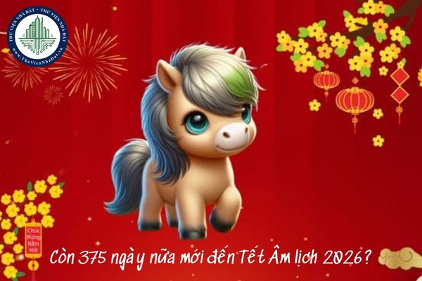 Vì sao còn 375 ngày nữa mới đến Tết Âm lịch 2026? (hình từ internet)