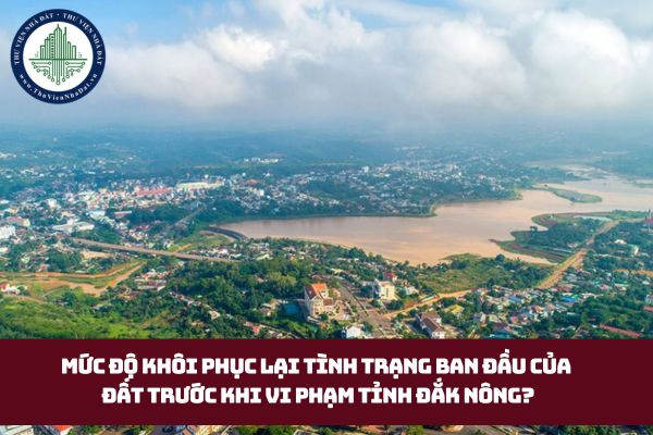 Mức độ khôi phục lại tình trạng ban đầu của đất trước khi vi phạm theo Quyết định 07 tỉnh Đắk Nông? (hình từ internet)