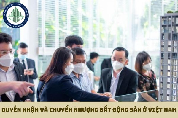 Người có quốc tịch Việt Nam nhưng định cư ở nước ngoài có quyền nhận và chuyển nhượng bất động sản ở Việt Nam không? (hình từ internet)