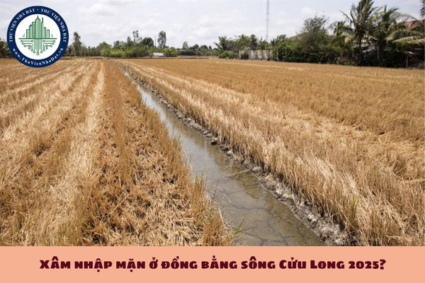 Xâm nhập mặn ở đồng bằng sông Cửu Long 2025? Dự báo xâm nhập mặn các tỉnh miền Tây mùa khô 2025? (hình từ internet)