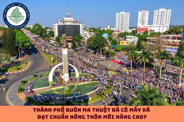 Đến nay, thành phố Buôn Ma Thuột đã có mấy xã đạt chuẩn nông thôn mới nâng cao? (hình từ internet)