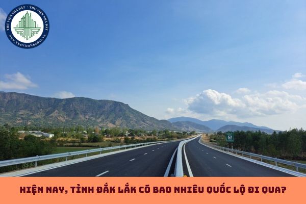 Hiện nay, tỉnh Đắk Lắk có bao nhiêu quốc lộ đi qua? (hình từ internet)