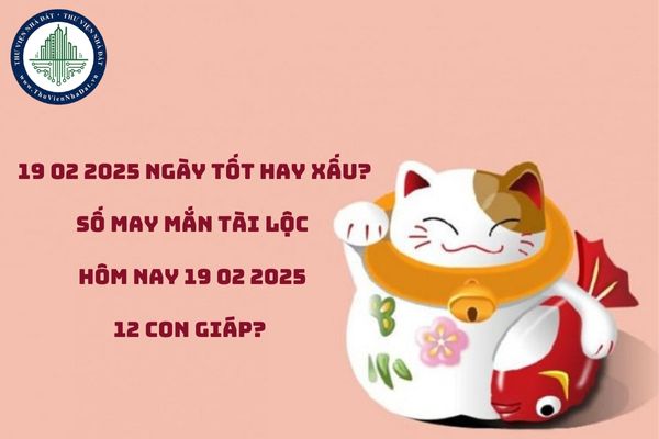 19 02 2025 là ngày tốt hay xấu? Số may mắn tài lộc hôm nay 19 02 2025 12 con giáp? (hình từ internet)