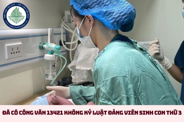 Đã có Công văn 13421 không kỷ luật Đảng viên sinh con thứ 3 (hình từ internet)