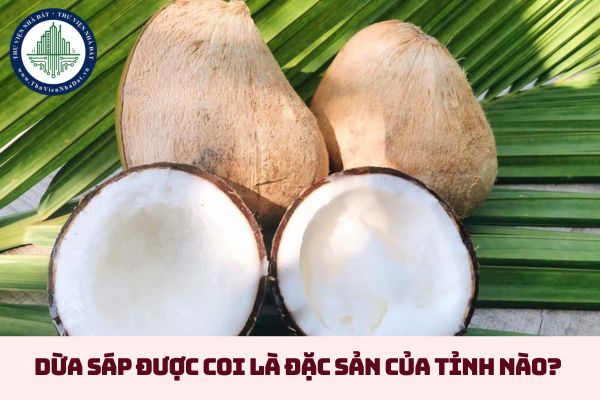 Dừa sáp được coi là đặc sản của tỉnh nào?